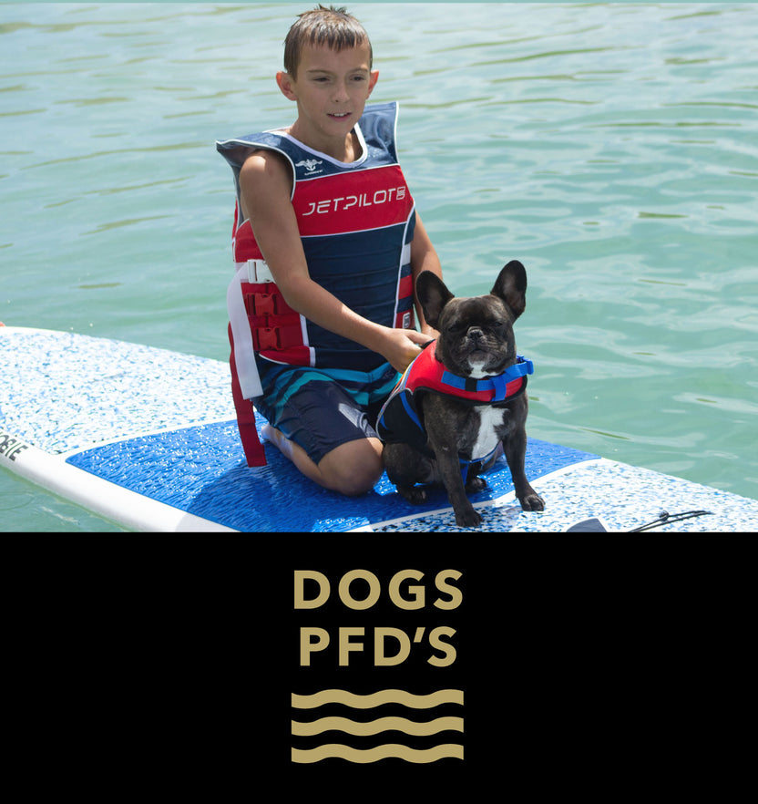 DOG PFD – JETPILOT