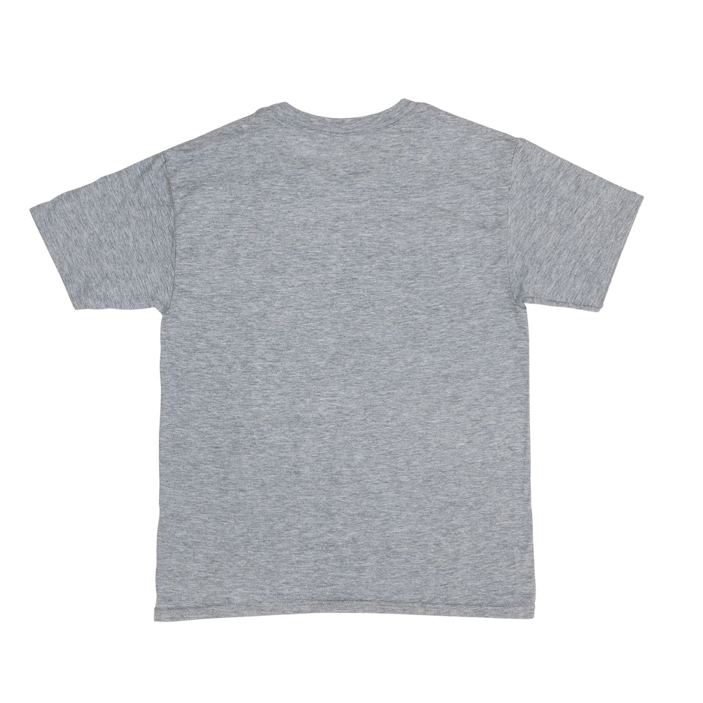 Gray t-shirt with 'Jet Pilot' logo on a white background