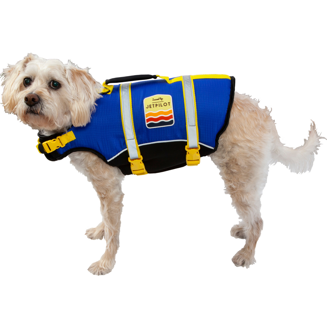 Dog 2025 flotation device