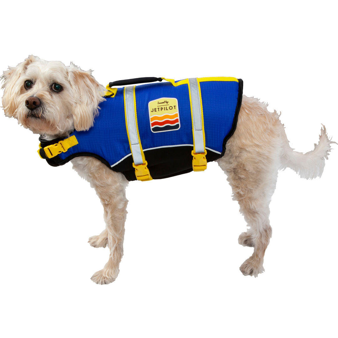 Blue Jetpilot Dog PFD.