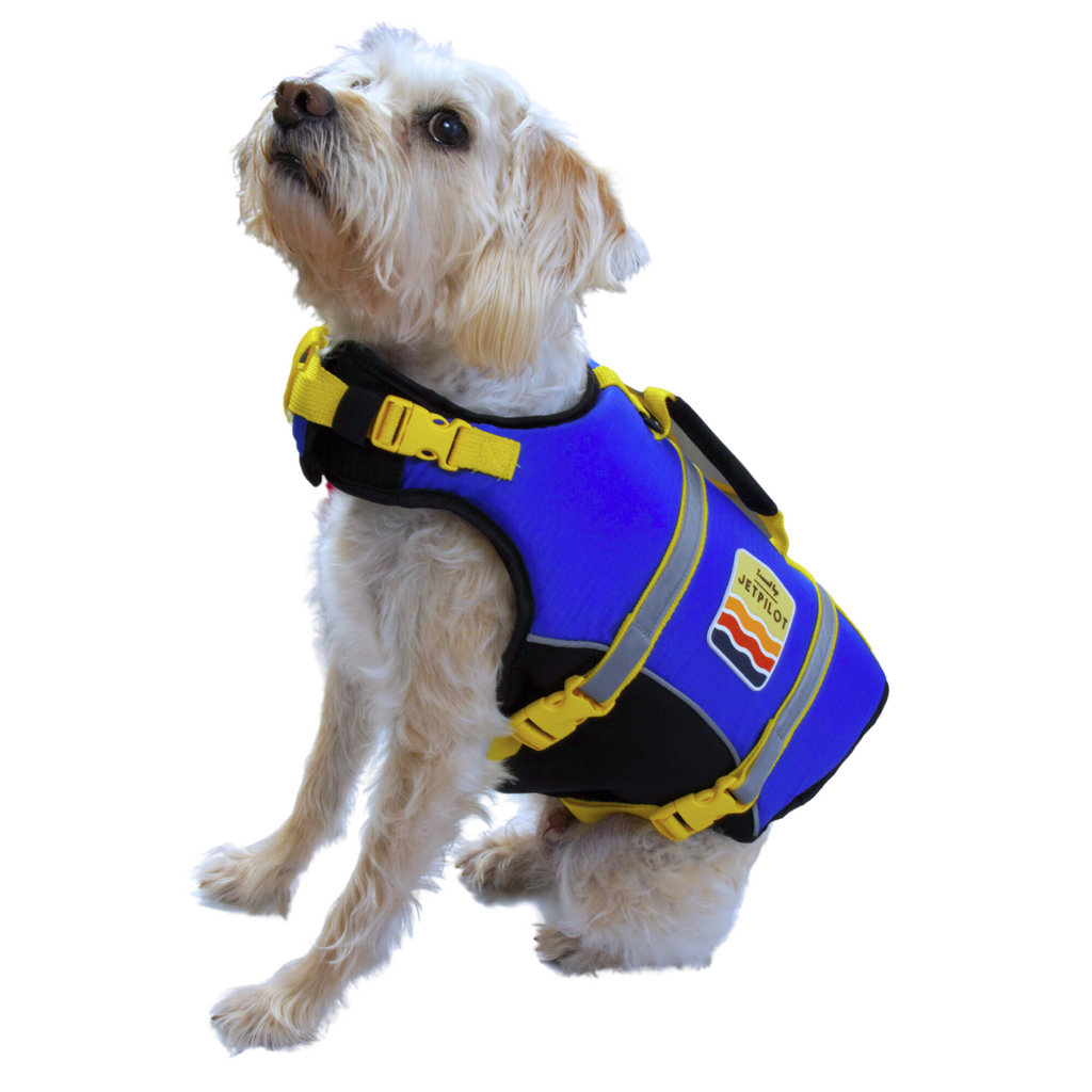 Untitleddesign-2023-08-