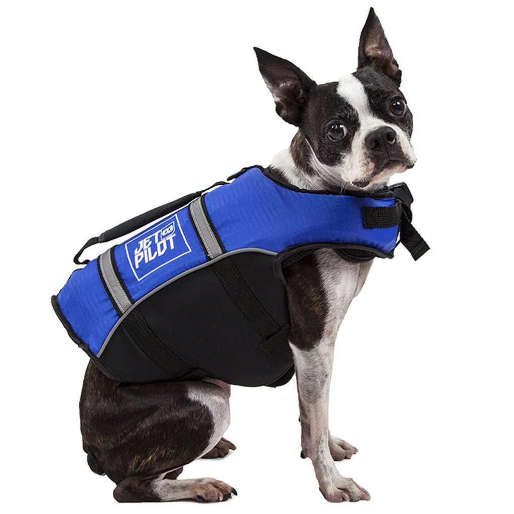 Right side view of the Jetpilot Dog PFD blue colorway.