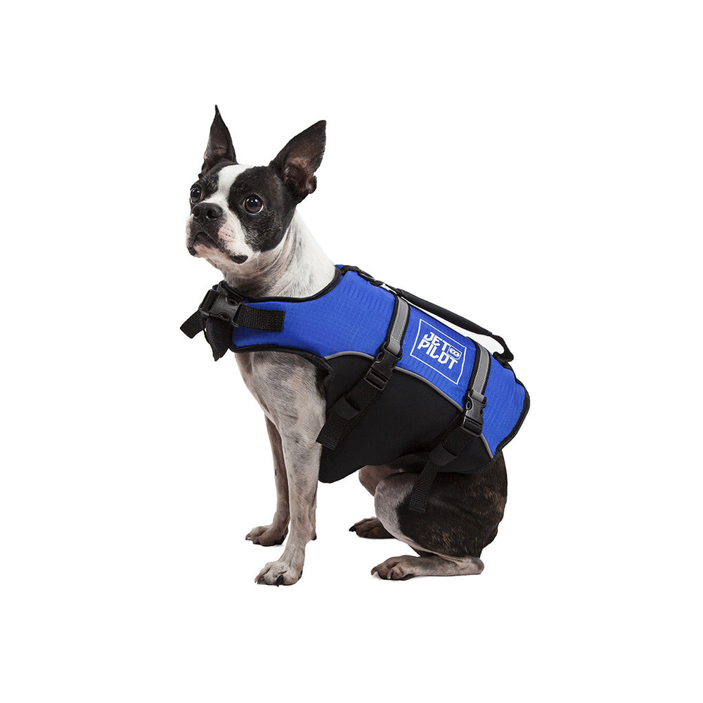 Left side view of the Jetpilot Dog PFD Blue colorway