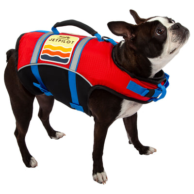 Red Jetpilot Dog PFD.