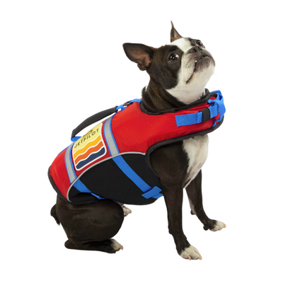 Red Jetpilot Dog PFD.